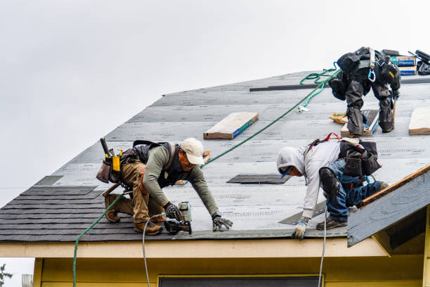 Professional Roof Replacement technician working in Glasford, IL